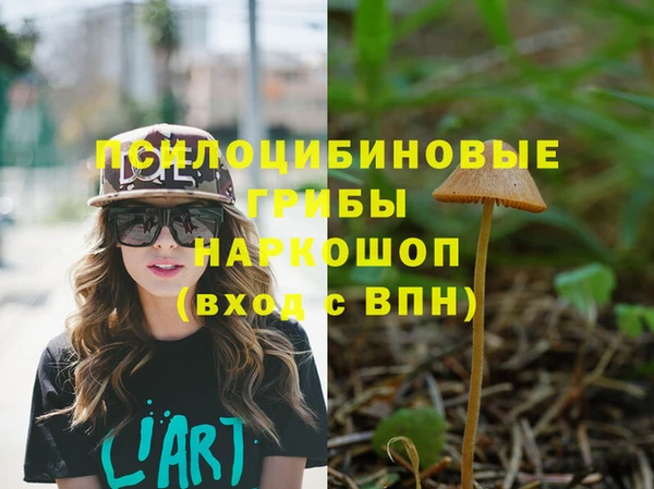 мяу мяу кристалл Переславль-Залесский