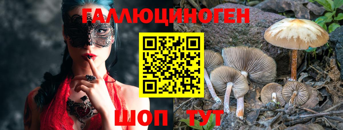 Псилоцибиновые грибы Psilocybine cubensis  Вход с VPN  Галлюциногенные грибы мухоморы  Серов 