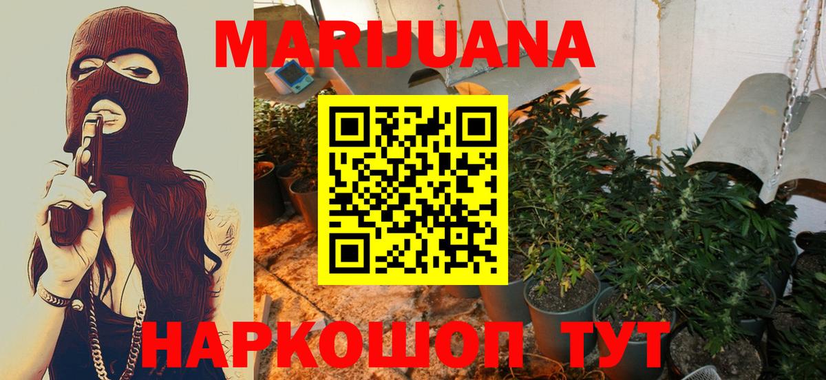 Конопля сатива  Каннабис ГИДРОПОН  Серов  Бошки Шишки SATIVA & INDICA 